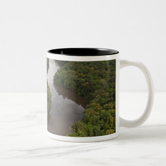 Tasse 2 Couleurs Fleuve Essequibo, plus long fleuve de Guyana, et 5 (Droit)