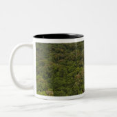 Tasse 2 Couleurs Fleuve Essequibo, plus long fleuve de Guyana, et 5 (Gauche)