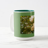 Tasse 2 Couleurs Flores de rose blanche (Devant gauche)