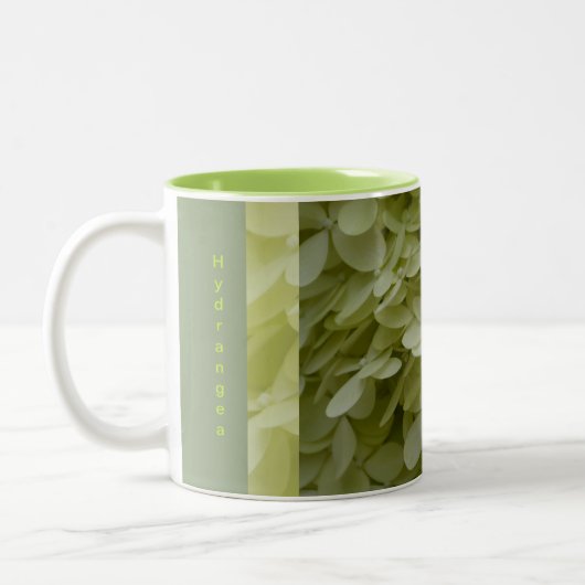 Tasse 2 Couleurs Flores d'Hydrangée Verte Celadon (Gauche)