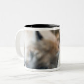 Tasse 2 Couleurs Floride Panther (Devant gauche)