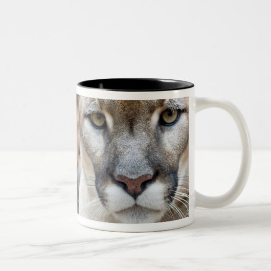 Tasse 2 Couleurs Floride Panther (Droit)