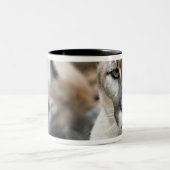 Tasse 2 Couleurs Floride Panther (Centre)