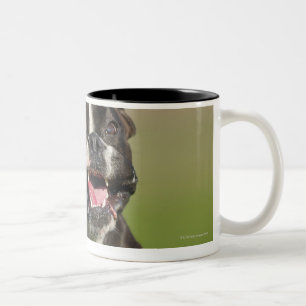 Tasse 2 Couleurs Fonctionnement de chien