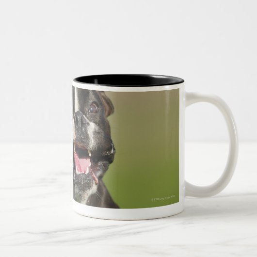 Tasse 2 Couleurs Fonctionnement de chien (Droit)
