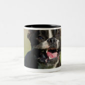 Tasse 2 Couleurs Fonctionnement de chien (Centre)