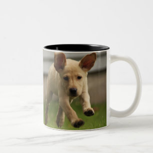 Tasse 2 Couleurs Fonctionnement jaune de chiots de Labrador