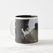 Tasse 2 Couleurs Fontaine, Monument des Girondins, Bordeaux, (Devant gauche)