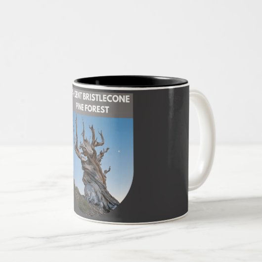 Tasse 2 Couleurs Forêt ancienne de pins à Bristlecone (Devant droit)
