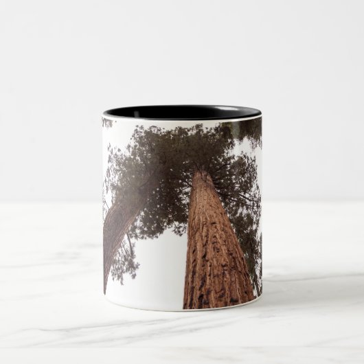 Tasse 2 Couleurs forêt, arbre (Centre)