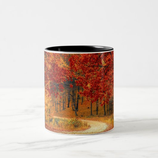 Tasse 2 Couleurs Forêt d'automne (Centre)