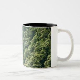 Tasse 2 Couleurs Forêt de l'Himalaya dans la vallée de Mangdue, Bho