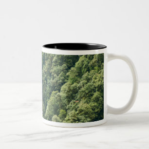 Tasse 2 Couleurs Forêt d'Himalaya dans la vallée de Mangdue, Bhou