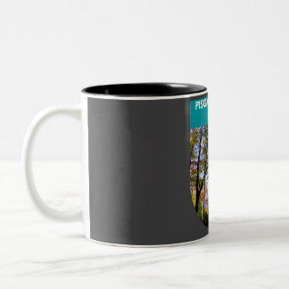 Tasse 2 Couleurs Forêt nationale de Pisgah - NC