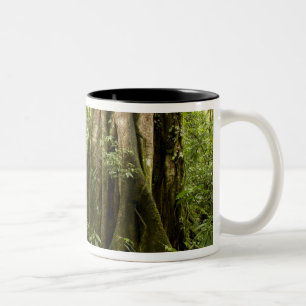 Tasse 2 Couleurs Forêt nuageuse, Bosque de Paz, Costa Rica