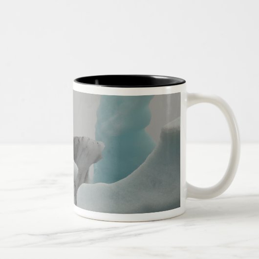 Tasse 2 Couleurs Formations d'iceberg (Droit)