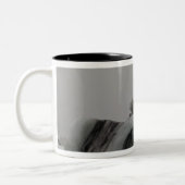 Tasse 2 Couleurs Formations d'iceberg (Gauche)