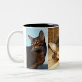 Tasse 2 Couleurs Fourrure vermeille de chat abyssinien (Gauche)