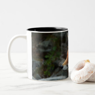 Tasse 2 Couleurs Fox