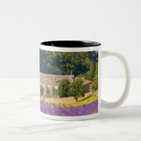 France, Gordes. Monastère cistercien de