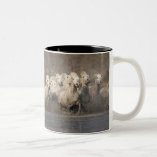 Tasse 2 Couleurs France, Provence. Chevaux blancs de Camargue en co
