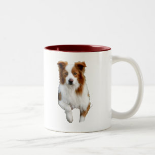 Tasse 2 Couleurs frontière collie2