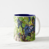 Tasse 2 Couleurs Fruits de l'esprit Galatiens 5:22-23 (Devant droit)