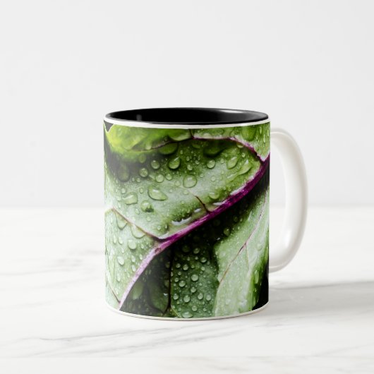 Tasse 2 Couleurs Fruits sains (Devant droit)