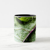 Tasse 2 Couleurs Fruits sains (Centre)