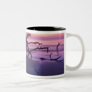Tasse 2 Couleurs GA Jekyll Island, un cimetière arboré sur la pla