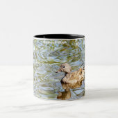 Tasse 2 Couleurs Gadwell Duck (Centre)