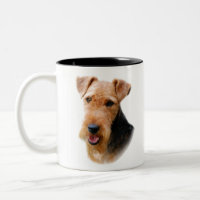 Gallois Terrier