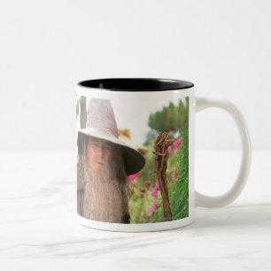Tasse 2 Couleurs GANDALF™ avec Casquette