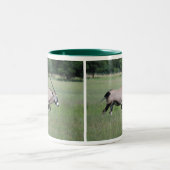 Tasse 2 Couleurs Gemsbok antilope (Centre)