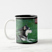 TASSE 2 COULEURS GINA (Gauche)