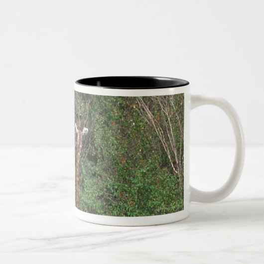 Tasse 2 Couleurs Girafe 3 de Massai (Droit)
