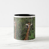 Tasse 2 Couleurs Girafe 3 de Massai (Centre)