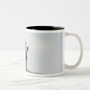 Tasse 2 Couleurs Girafe 5