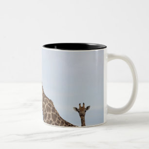 Tasse 2 Couleurs Girafe (camelopardalis de Giraffa), ressortissant