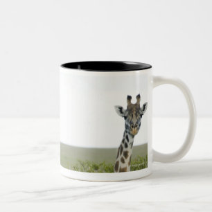 Tasse 2 Couleurs Girafes au Kenya, Afrique 2
