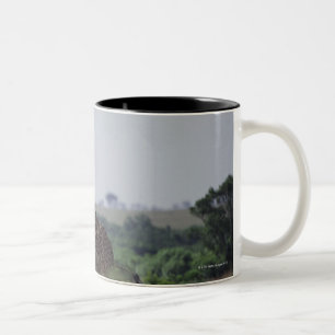 Tasse 2 Couleurs Girafes en Afrique