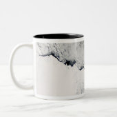 Tasse 2 Couleurs Glace marine dans l'océan Austral (Gauche)