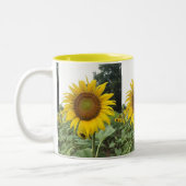 TASSE 2 COULEURS **GLORIOUS SUNFLOWER** (Gauche)