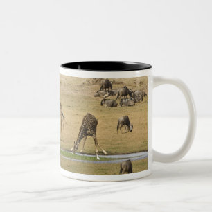 Tasse 2 Couleurs Gnoux, Zèbres et Girafes
