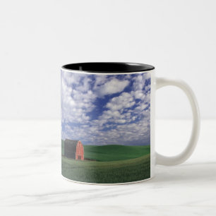 Tasse 2 Couleurs Grange rouge dans le domaine de blé et d'orge en