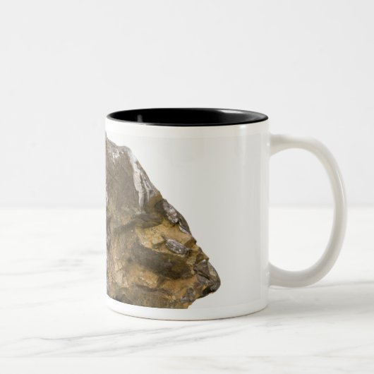 Tasse 2 Couleurs Graphite, Danville, Vermont, Etats-Unis (Droit)
