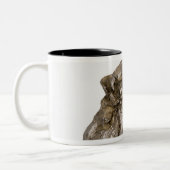 Tasse 2 Couleurs Graphite, Danville, Vermont, Etats-Unis (Gauche)