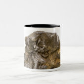 Tasse 2 Couleurs Graphite, Danville, Vermont, Etats-Unis (Centre)