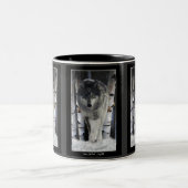 Tasse 2 Couleurs GRAY PACK WOLF, collection (Centre)