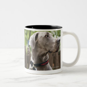 Tasse 2 Couleurs Great dane bleu et chiens de carlin sur des